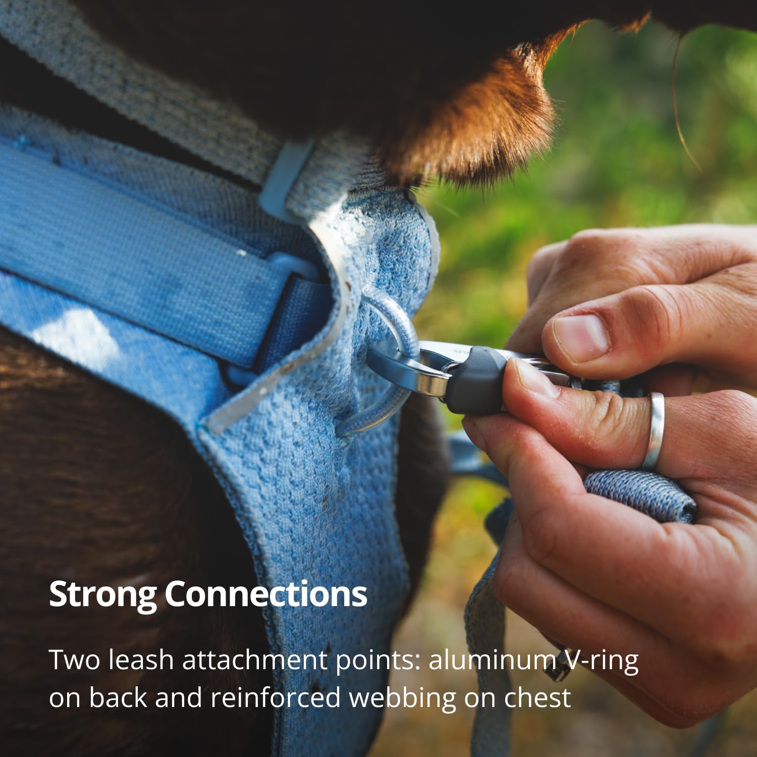 Back leash clip detail for relaxed walks with confidence.