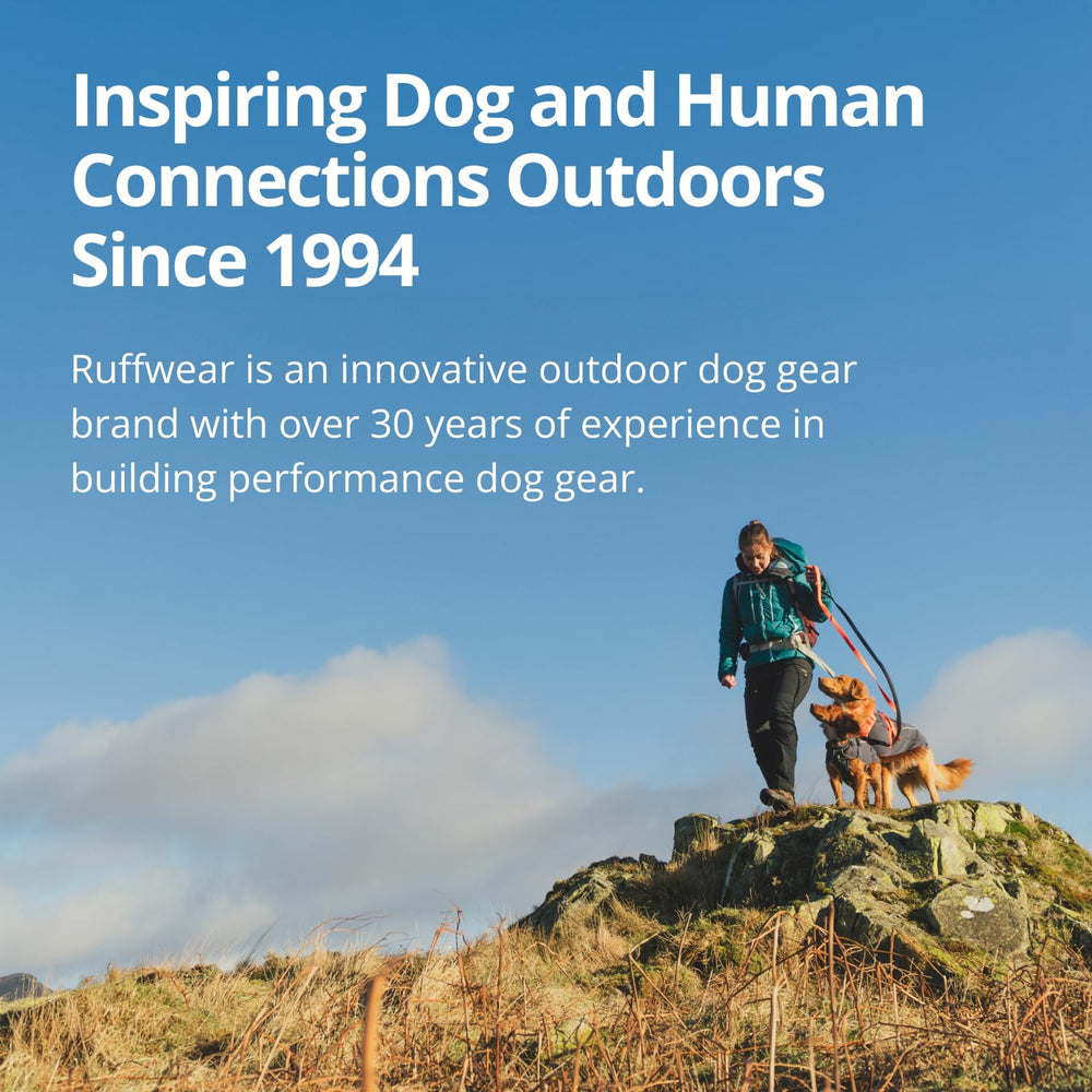 Side-release buckle and wide neck opening ease donning for head-shy dogs.