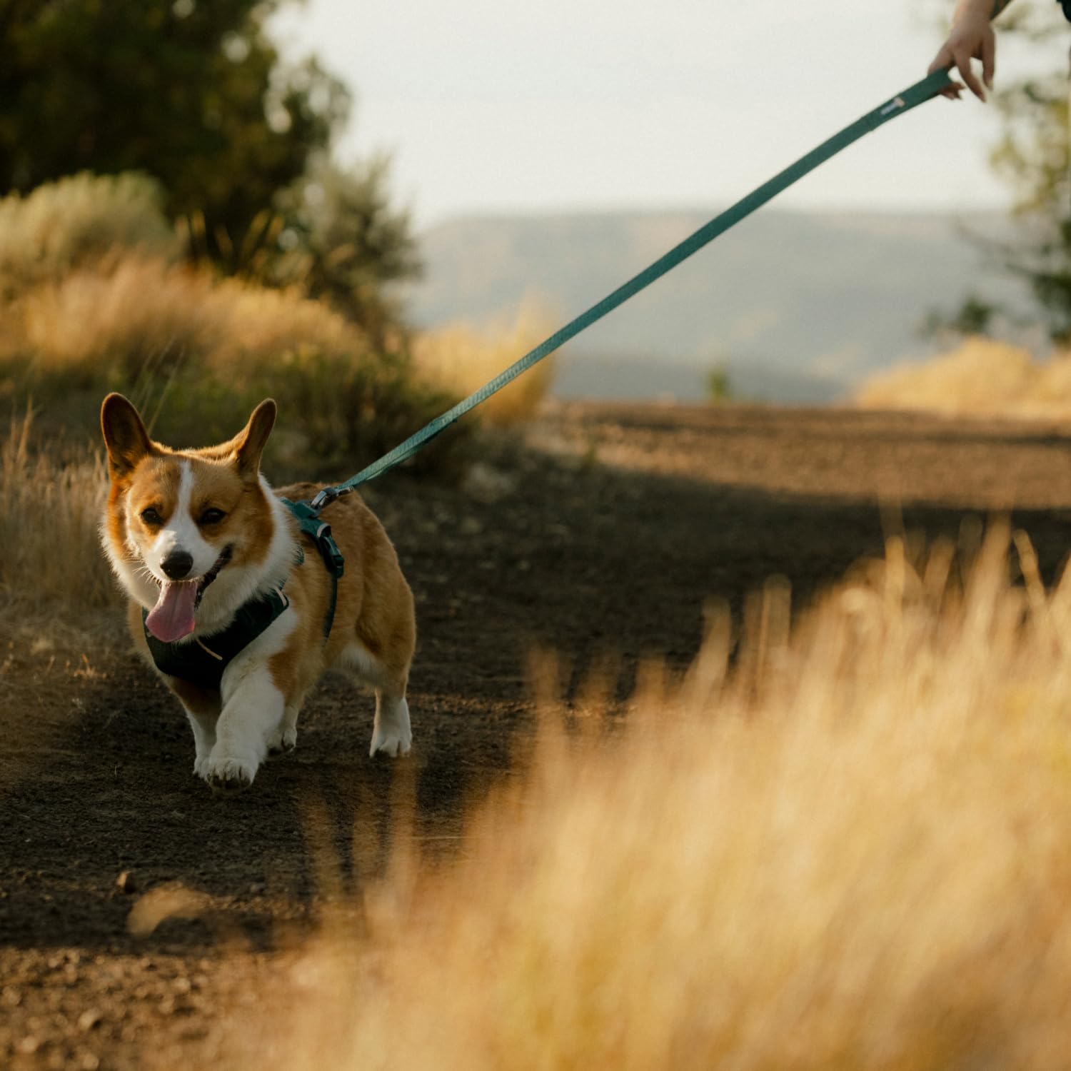 Padded handle detail on Ruffwear leash for comfortable grip.
