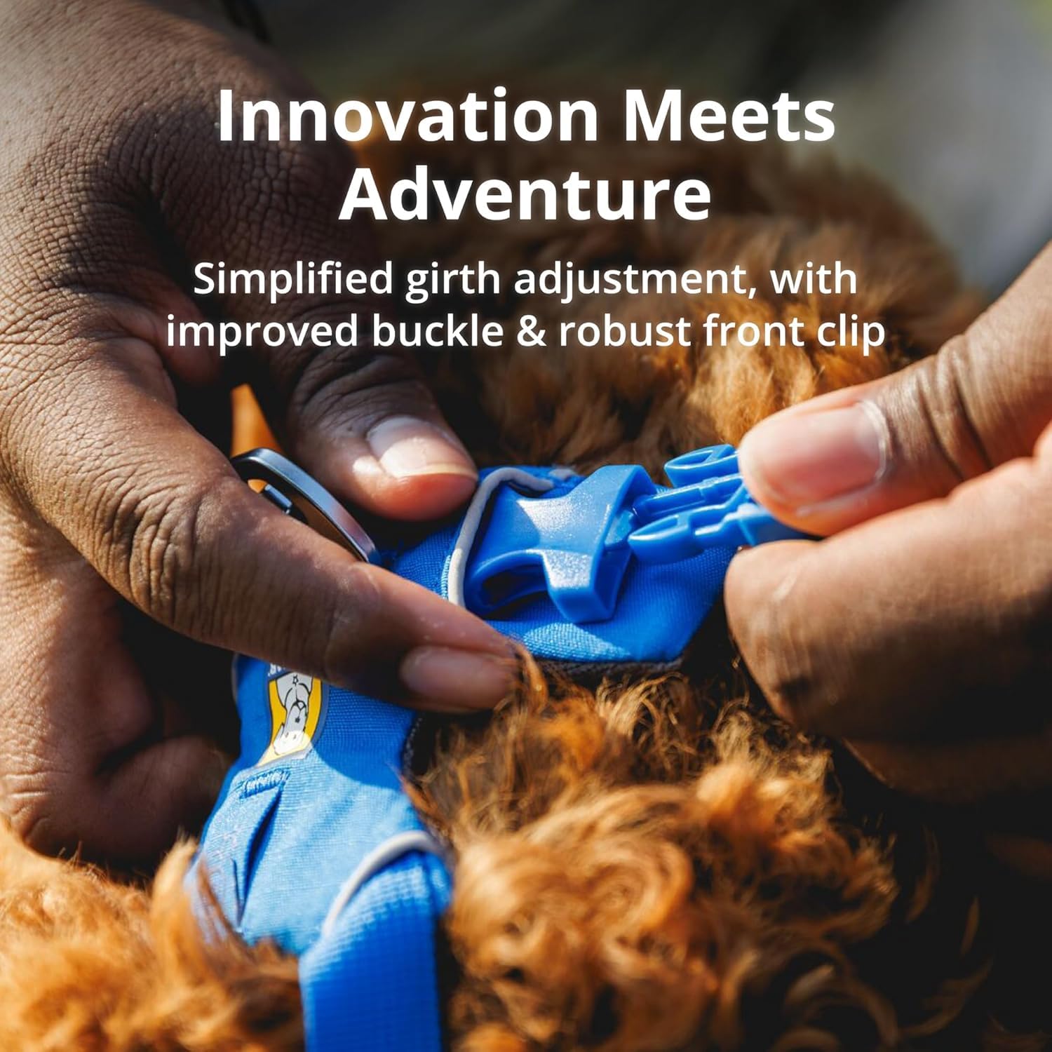 Ruffwear Front Range Harness four-point-adjustment provides a secure fit for all sizes