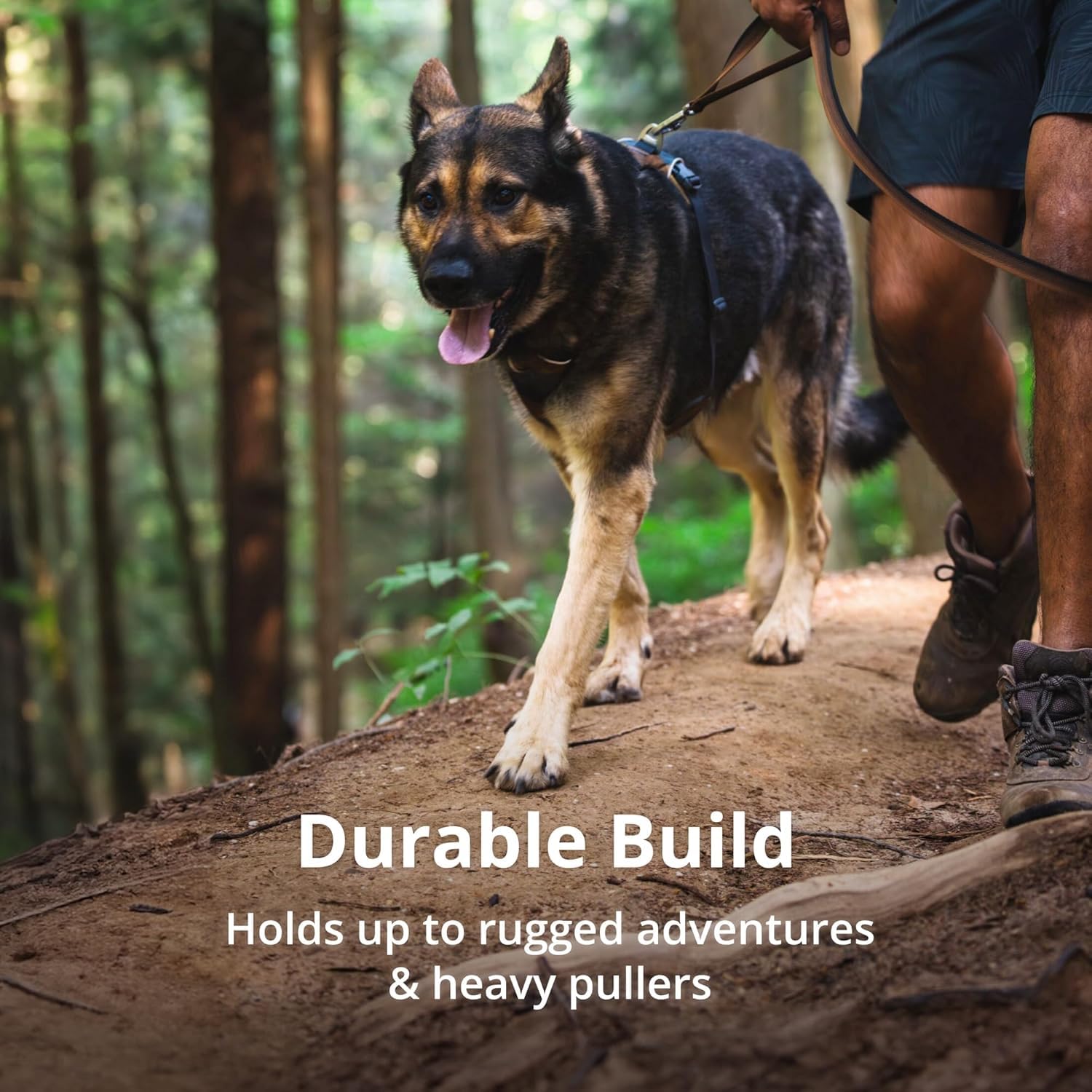 Ruffwear Front Range how-to-fit video guides proper measurement and secure fit.