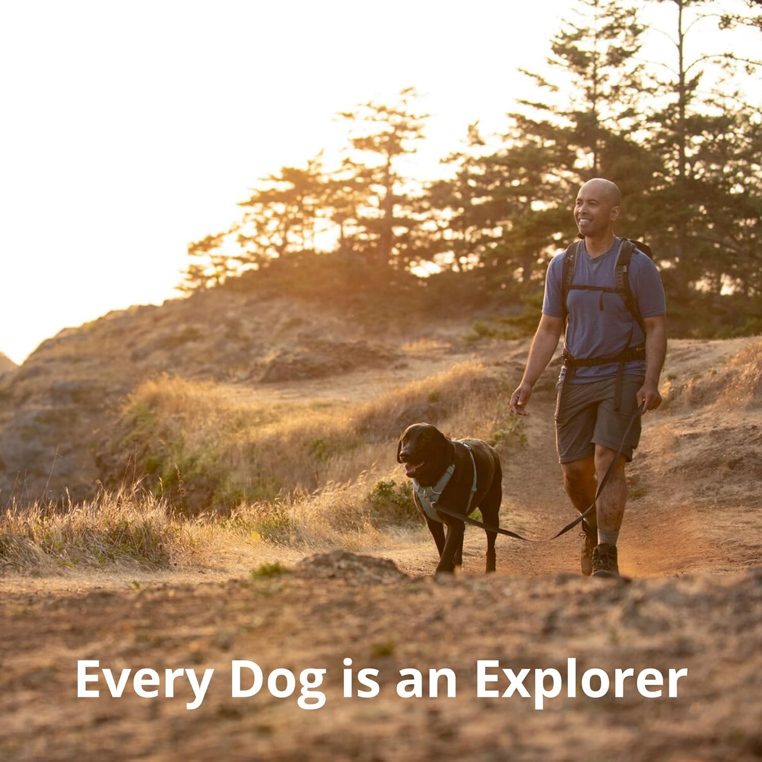Ruffwear Front Range Red Canyon color enhances high-visibility daily use