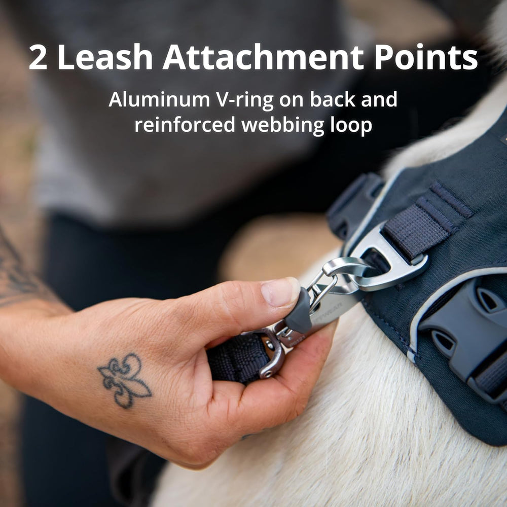 Ruffwear Front Range back V-ring with reinforced chest.