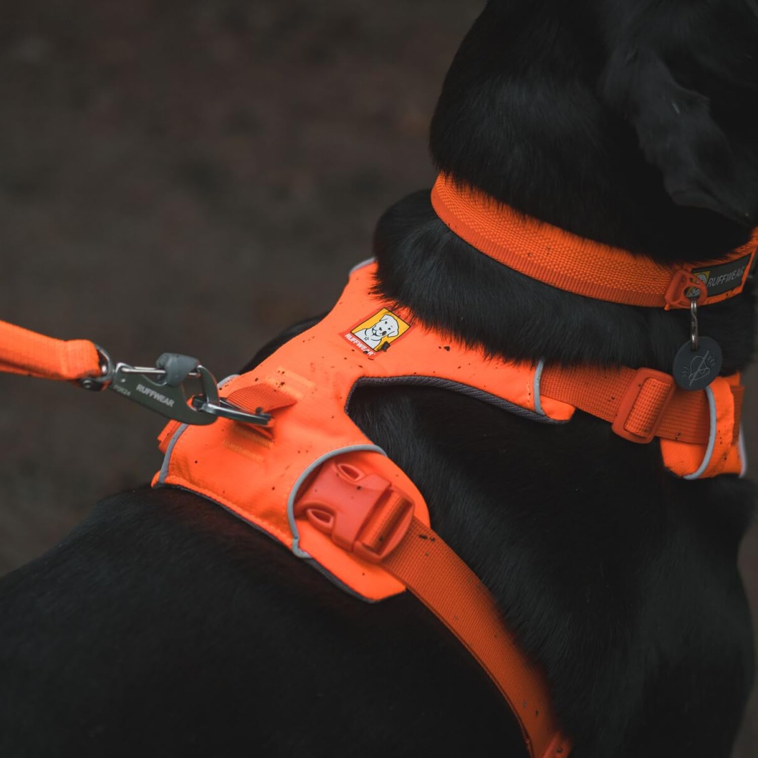 Ruffwear Front Range durable side-release buckles for quick on-off.