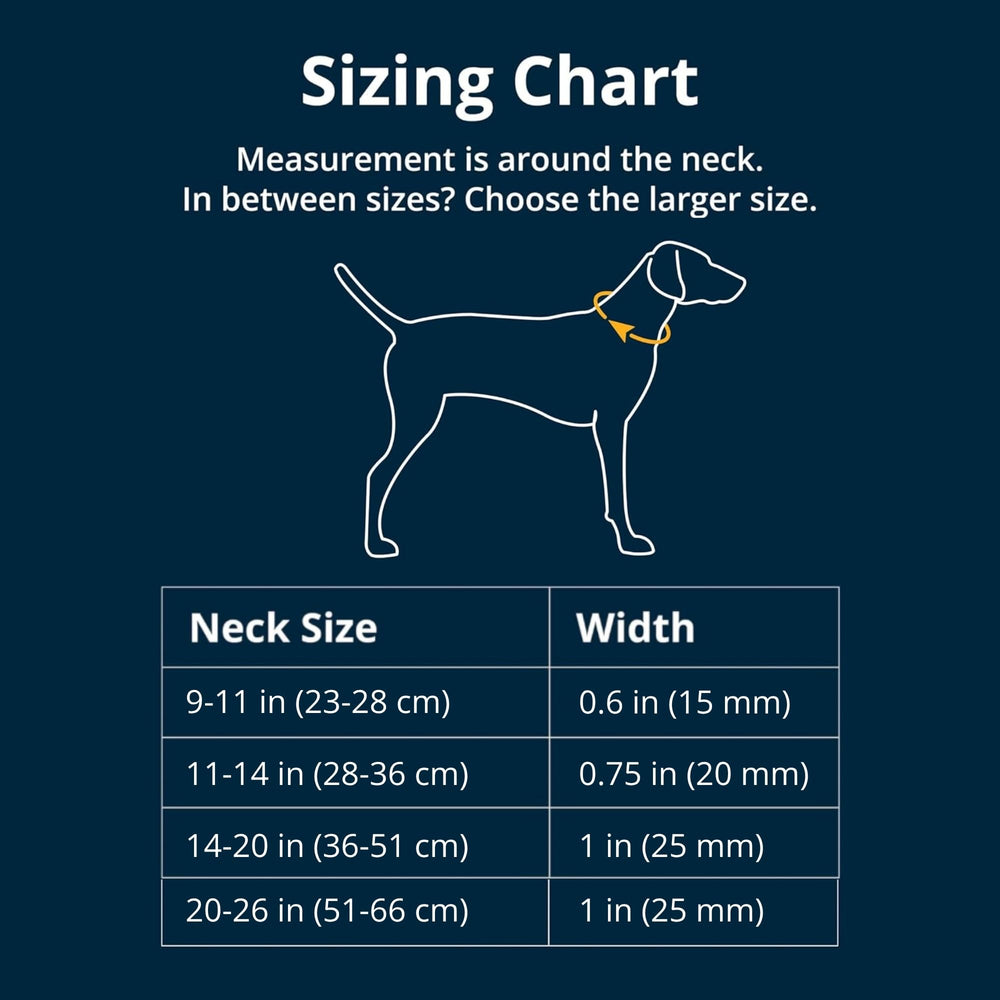 Adjustable fit keeps Ruffwear Hi & Light secure on all dog sizes.