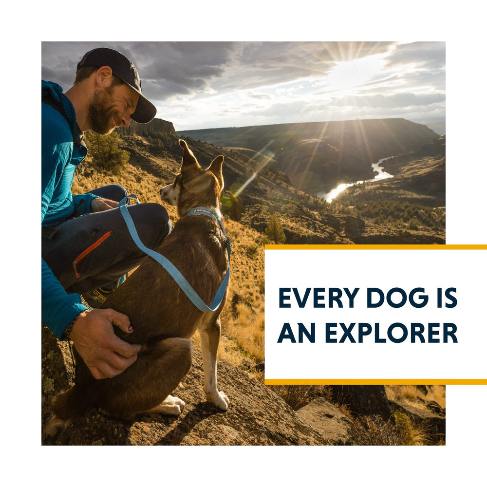 Ruffwear Hi & Light collar delivers a compact, secure trail profile.