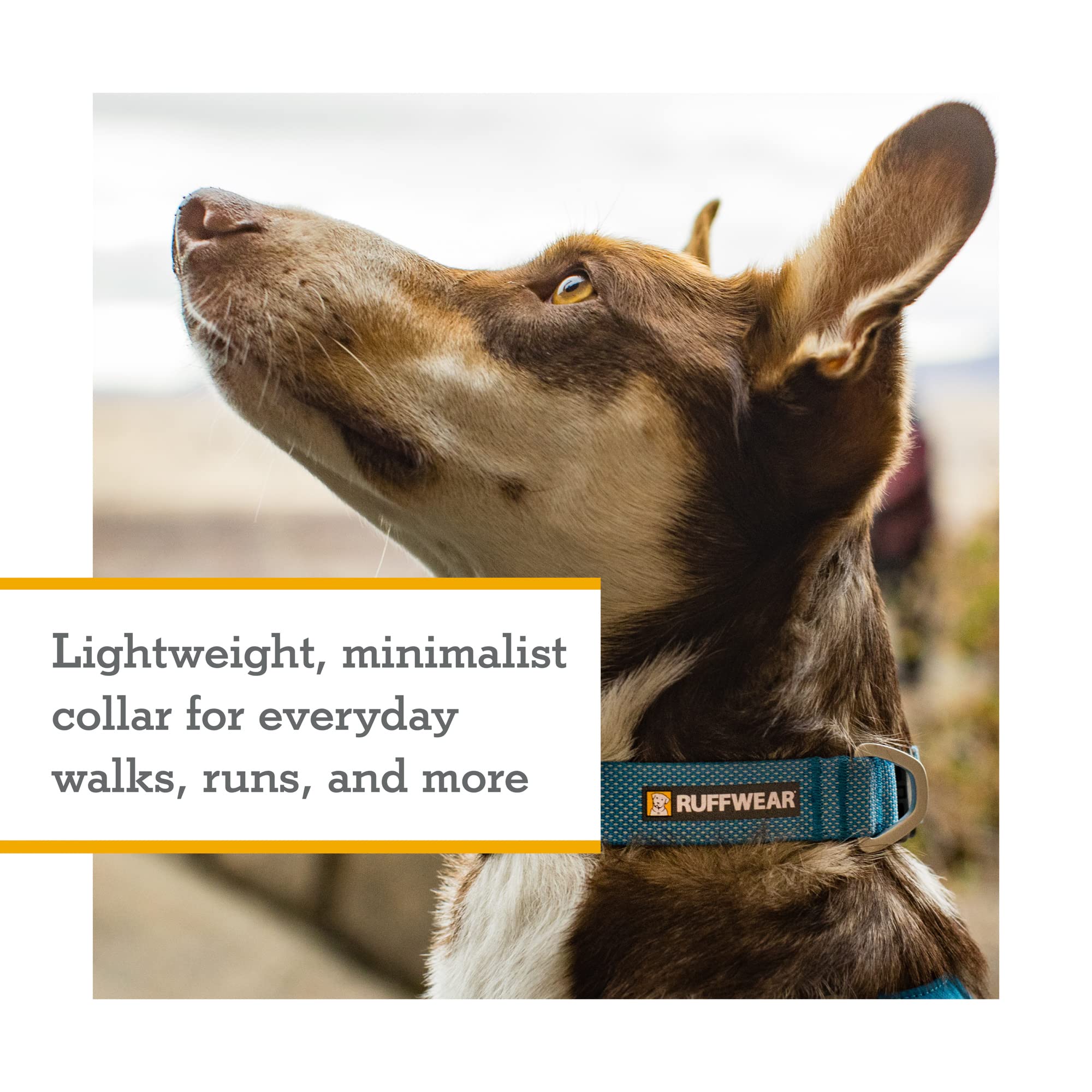 Ruffwear Hi & Light collar silent ID attachment reduces jingling during runs.