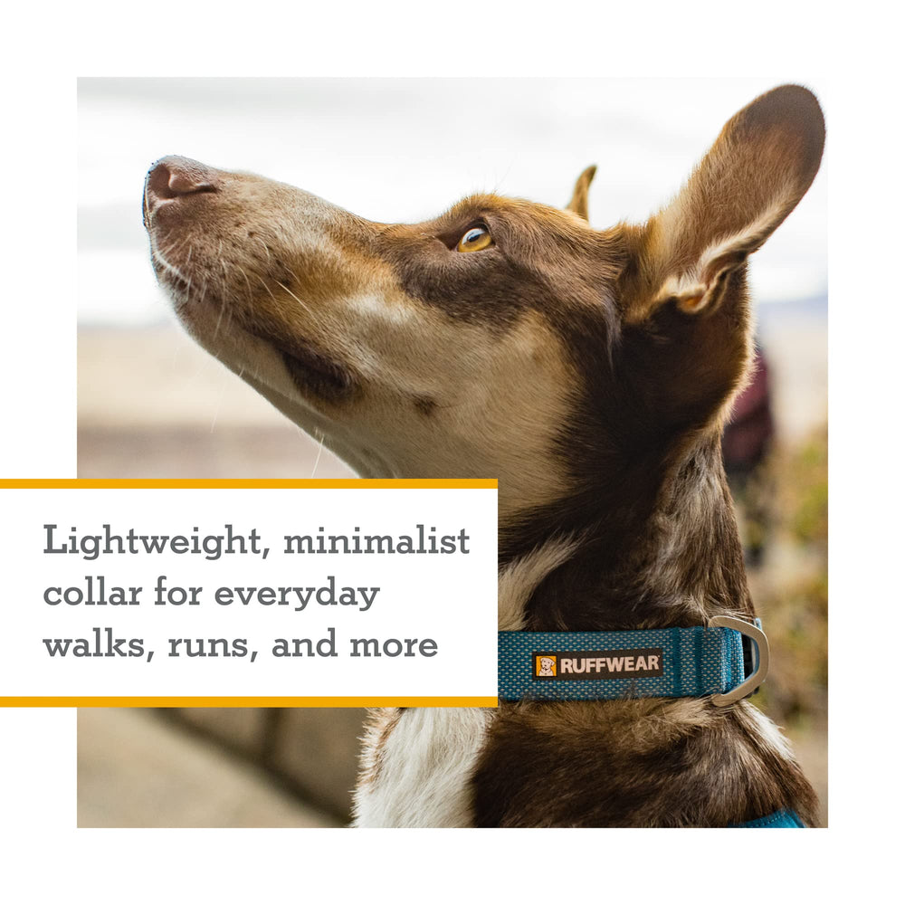 Ruffwear Hi & Light collar silent ID attachment reduces jingling during runs.