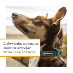 Ruffwear Hi & Light collar silent ID attachment reduces jingling during runs.