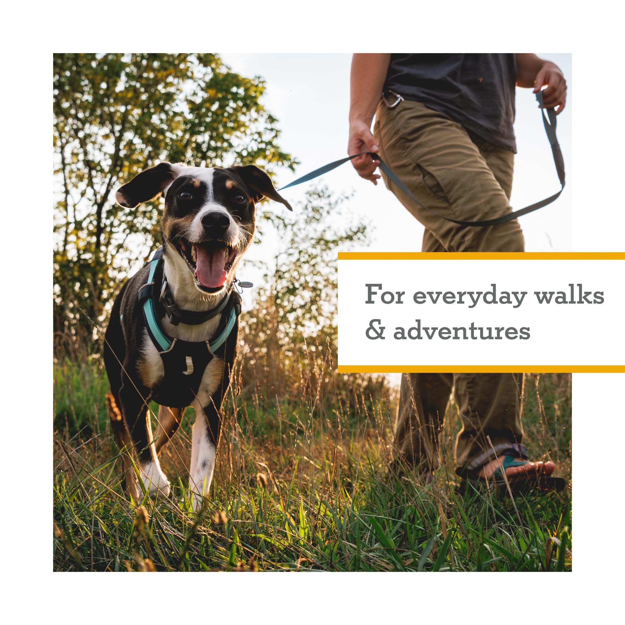 Ruffwear Hi and Light size chart view for quick fitting.