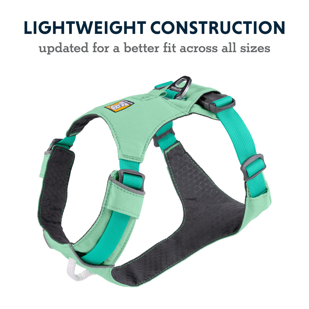Rear V-Ring clip shown for easy daily walks.