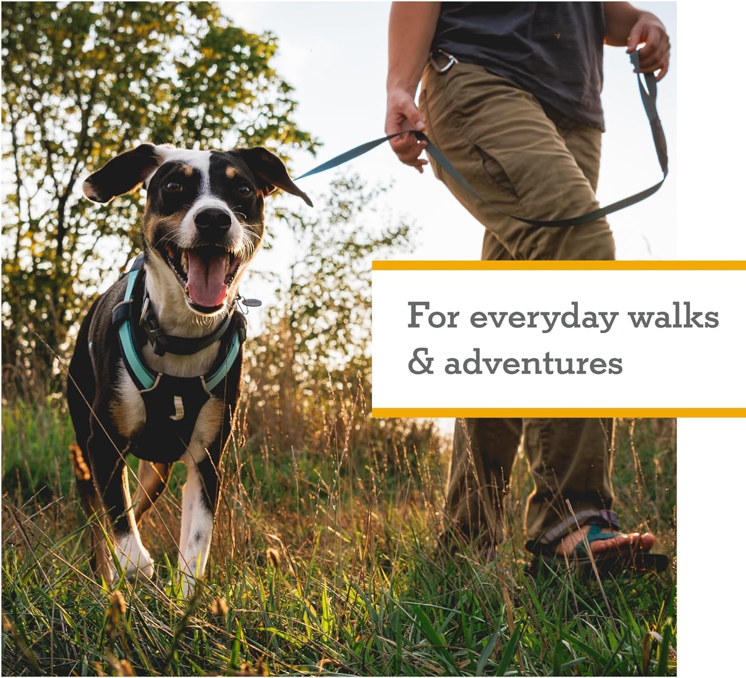 Ruffwear Hi & Light XX-Small escape-proof fit helps keep curious pups safe.