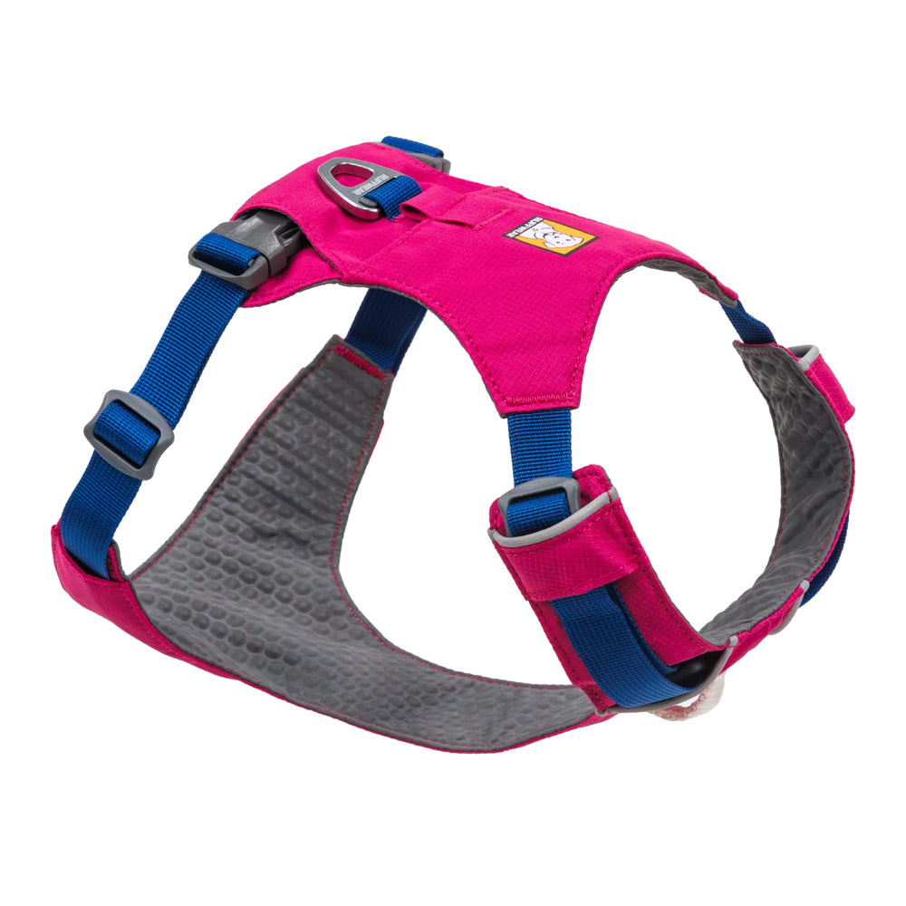 Ruffwear Hi & Light XX-Small harness on a dog showcases light weight and secure fit.