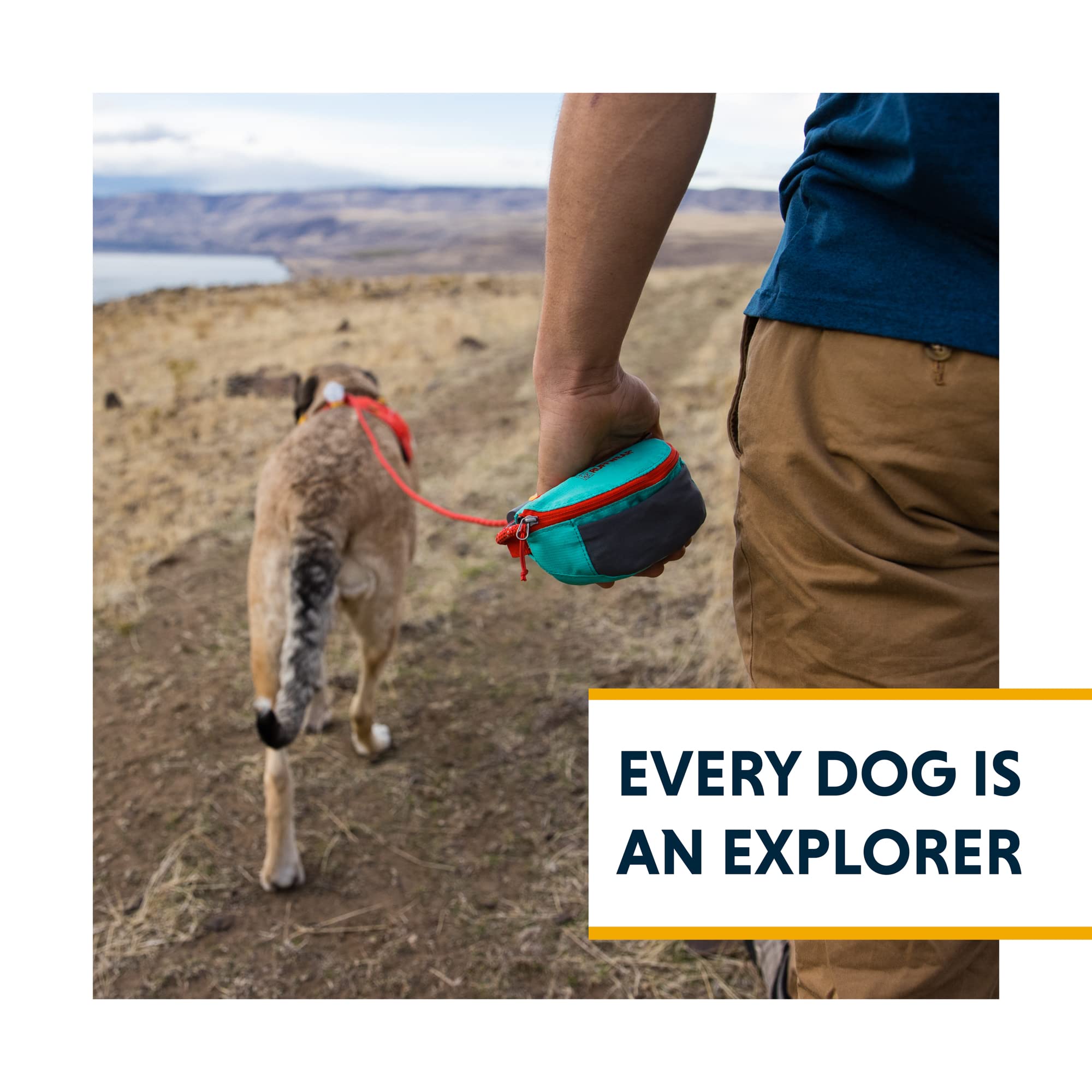 In-use view of Ruffwear Hitch Hiker during a dog-friendly hike.