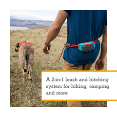 Switchable leash and hitch mode for versatile trail use by Ruffwear.