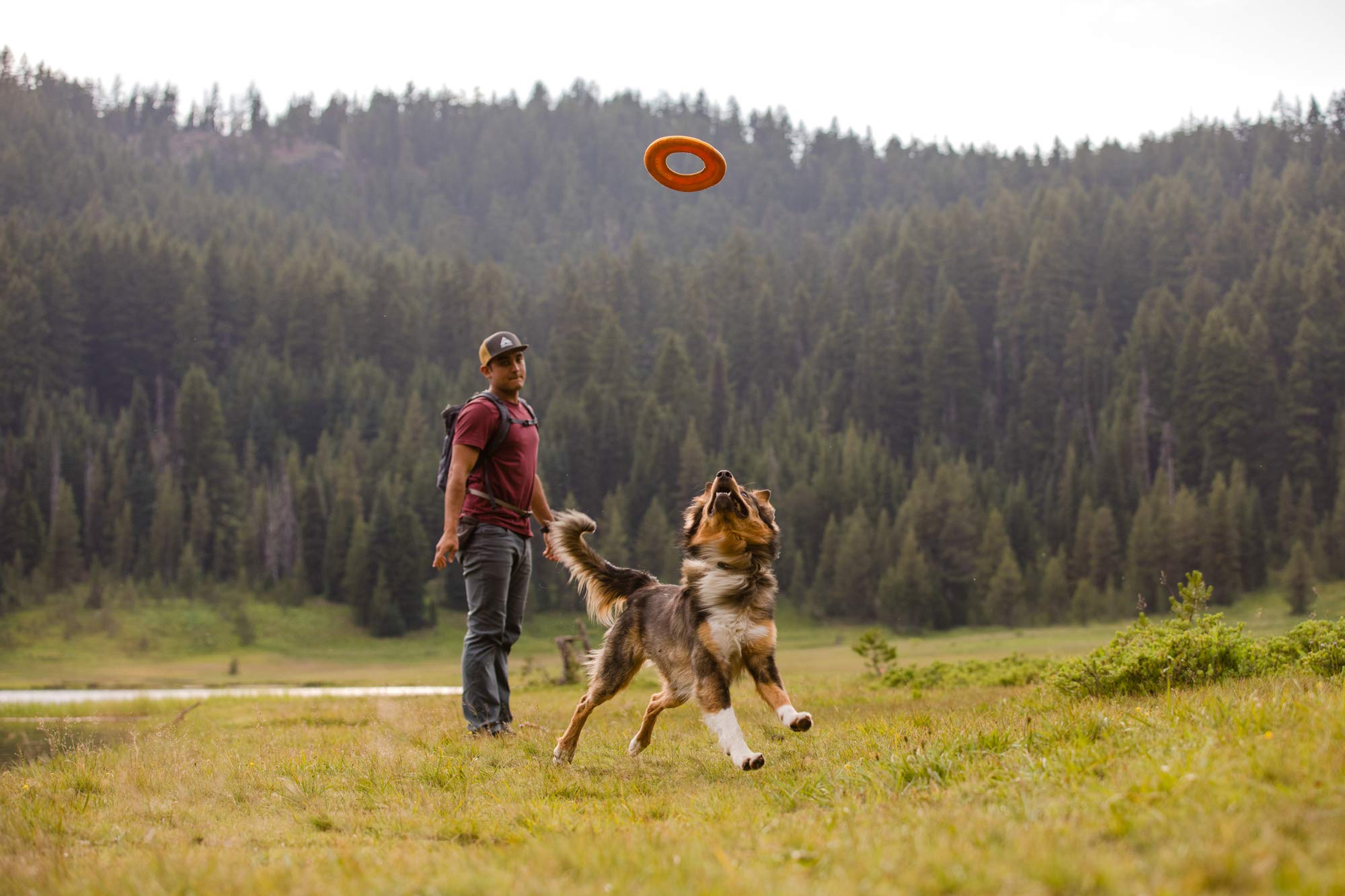 Ruffwear Hydro Plane Disc dries quickly after river or snow play