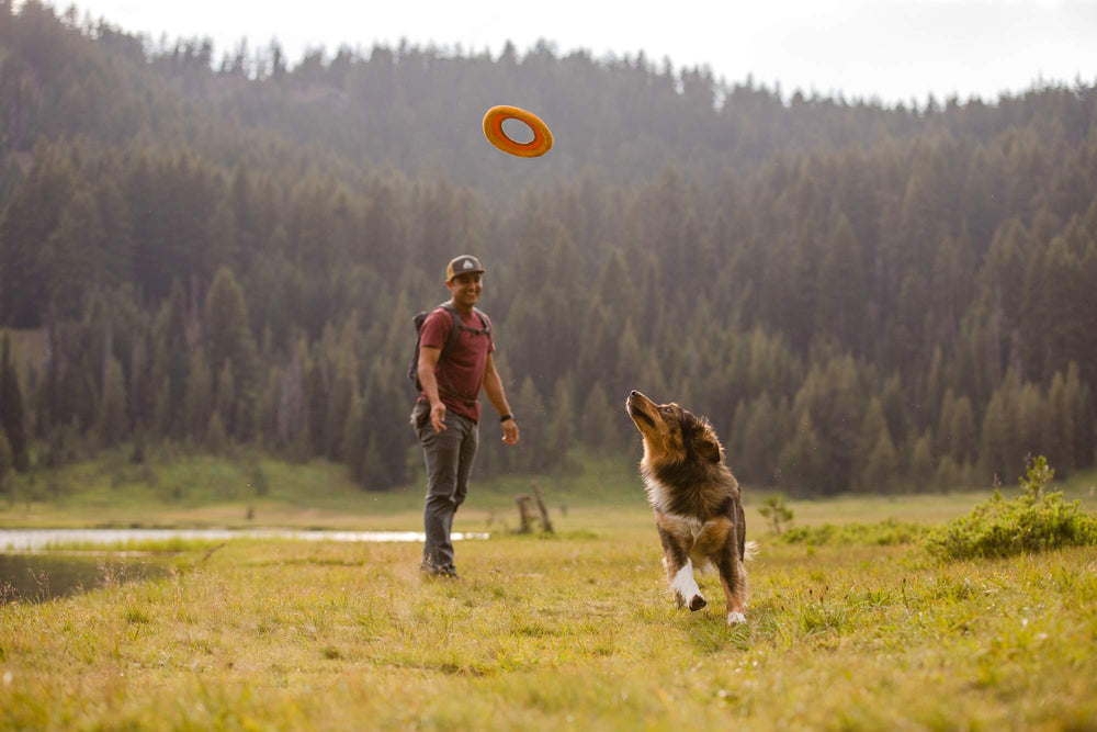Ruffwear Hydro Plane dries quickly after water play