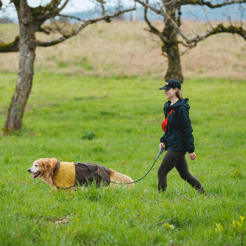 Ruffwear Knot-a-Leash accessory loop for pickup bags on daily walks.