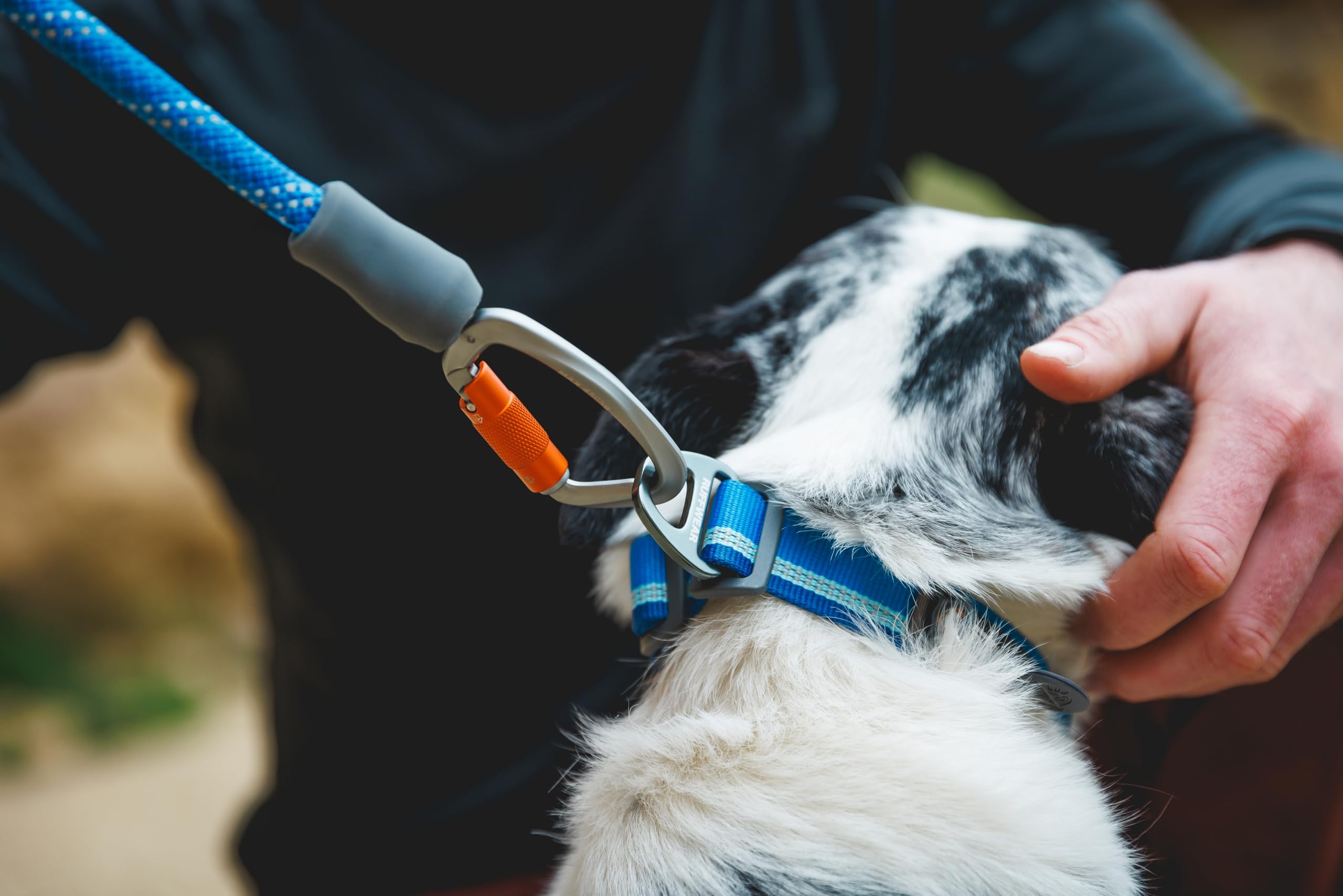 Ruffwear Knot-a-Leash large dog walking scene with confident control.