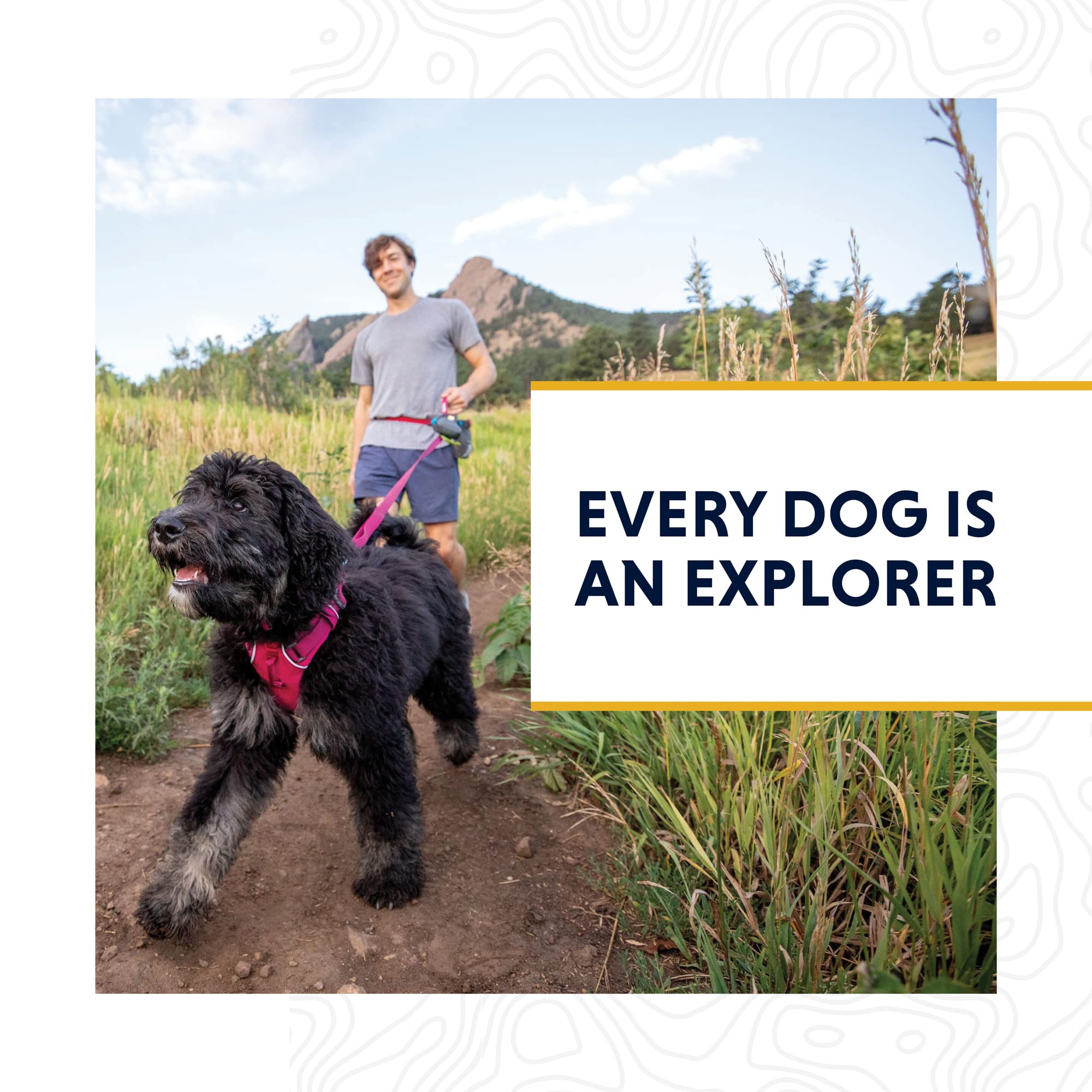 Ruffwear Knot-a-Leash used in rainy conditions for dependable daily use.