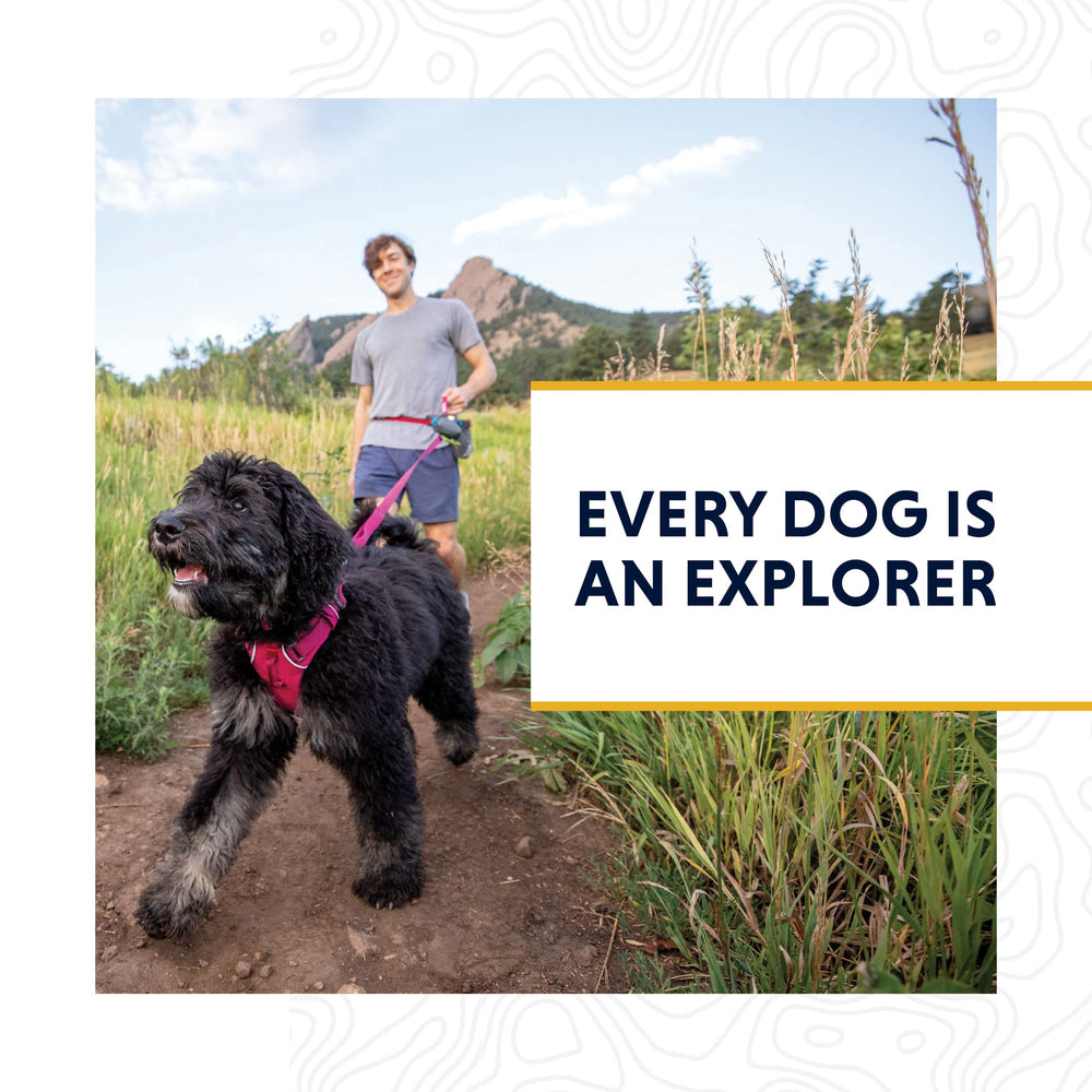 Ruffwear Knot-a-Leash used in rainy conditions for dependable daily use.