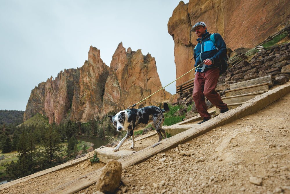 Ruffwear Knot-a-Leash swiveling carabiner preventing twists during walks.