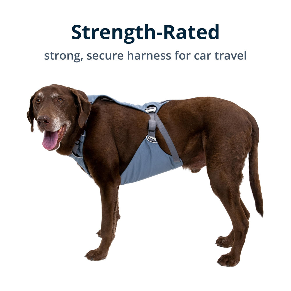 Ruffwear Load Up harness dense foam padding supports long rides.