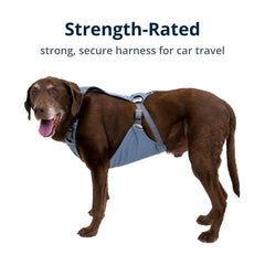 Ruffwear Load Up harness dense foam padding supports long rides.