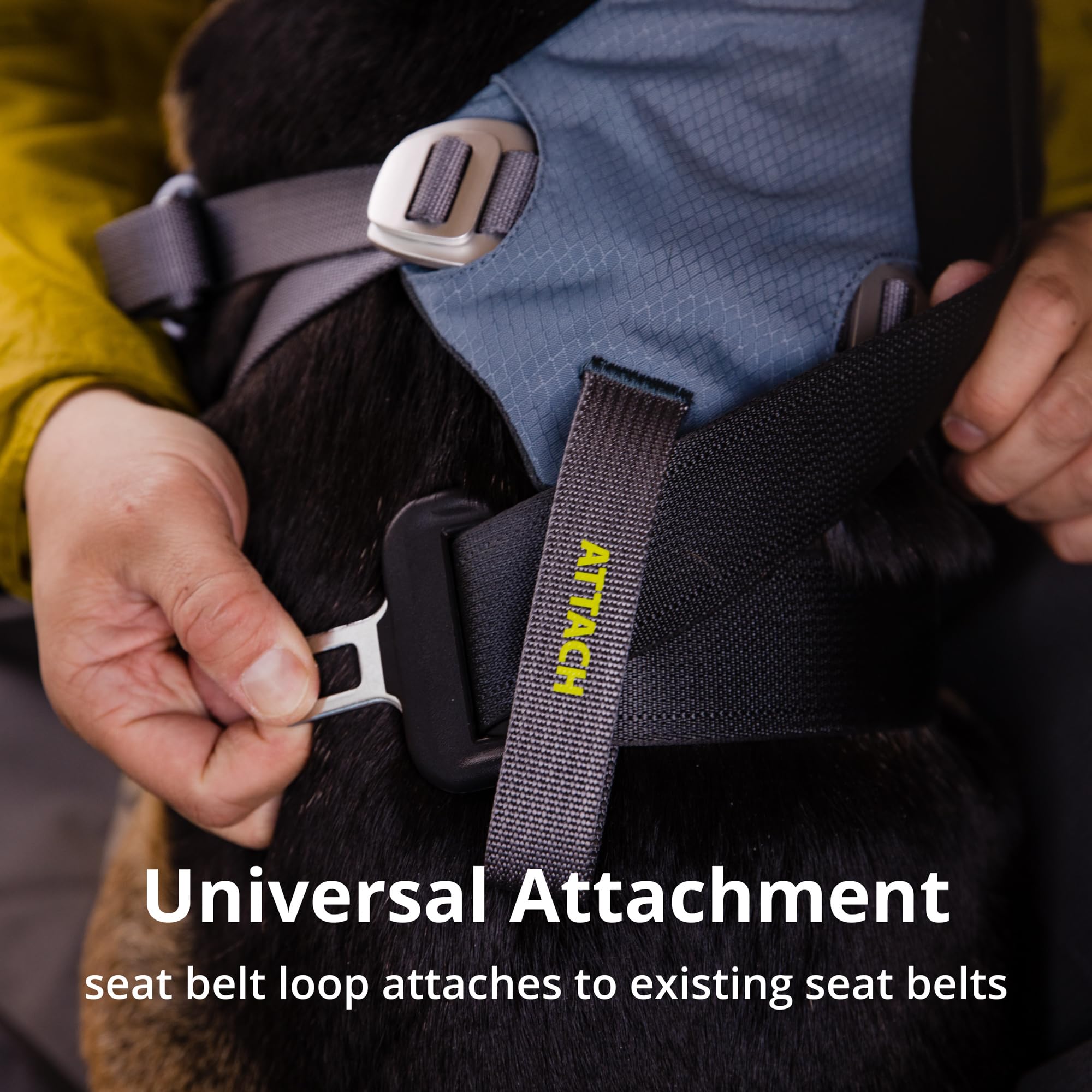 Ruffwear Load Up harness slips on easily and stays secure.