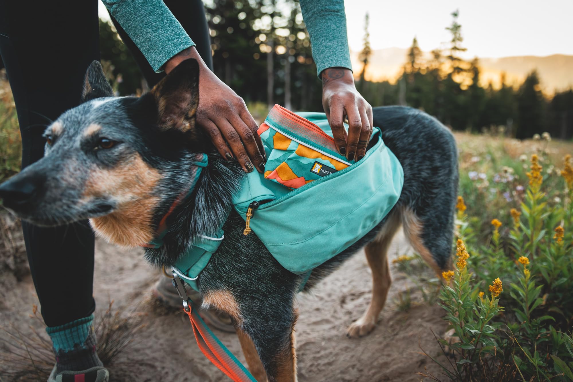 Ruffwear Quencher dries fast after rinses, ready again.