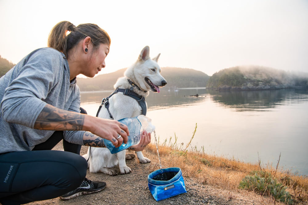 Ruffwear Quencher low-profile base prevents tipping during active dogs.
