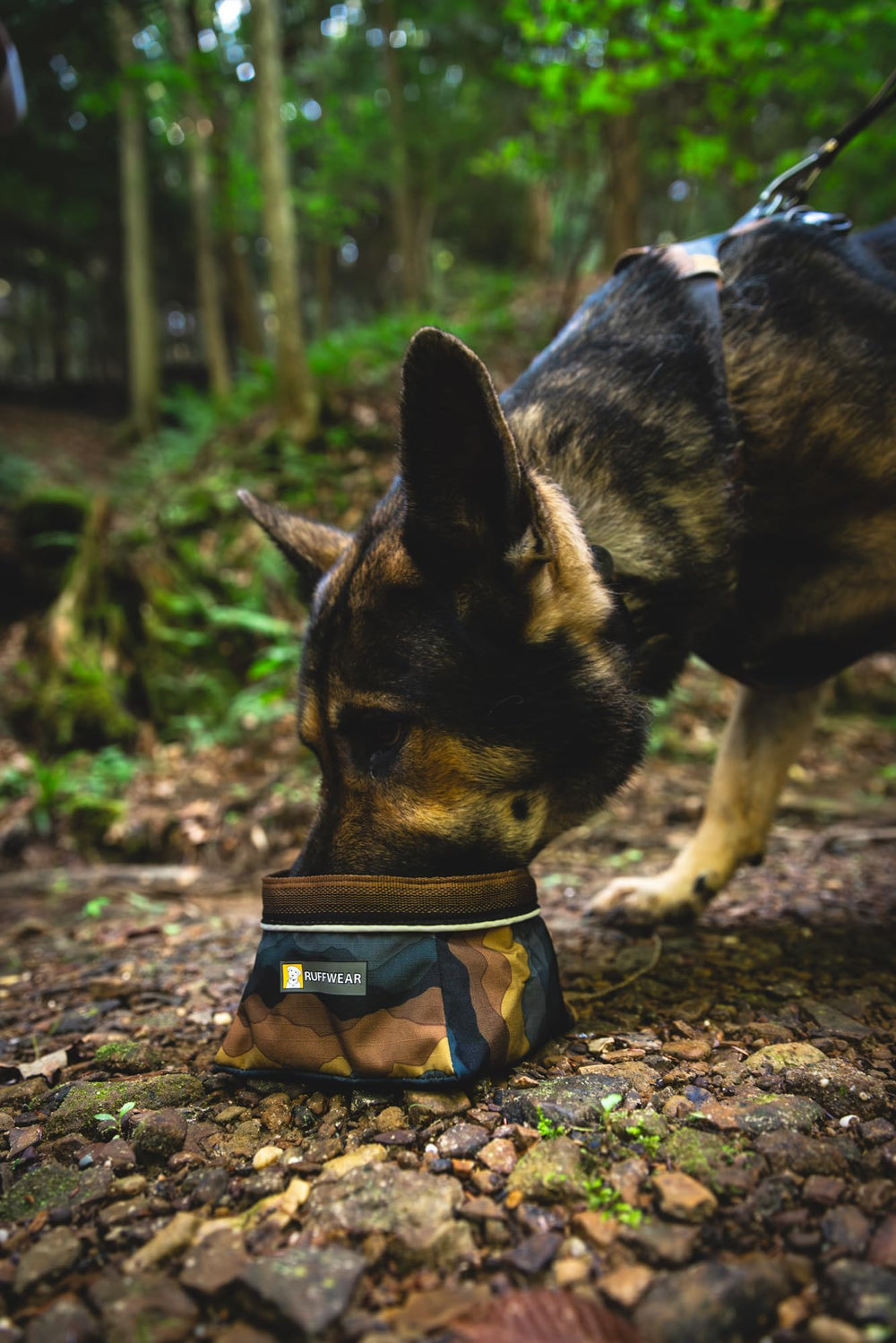 Ruffwear Quencher waterproof liner detail, resists leaks on rugged hikes.