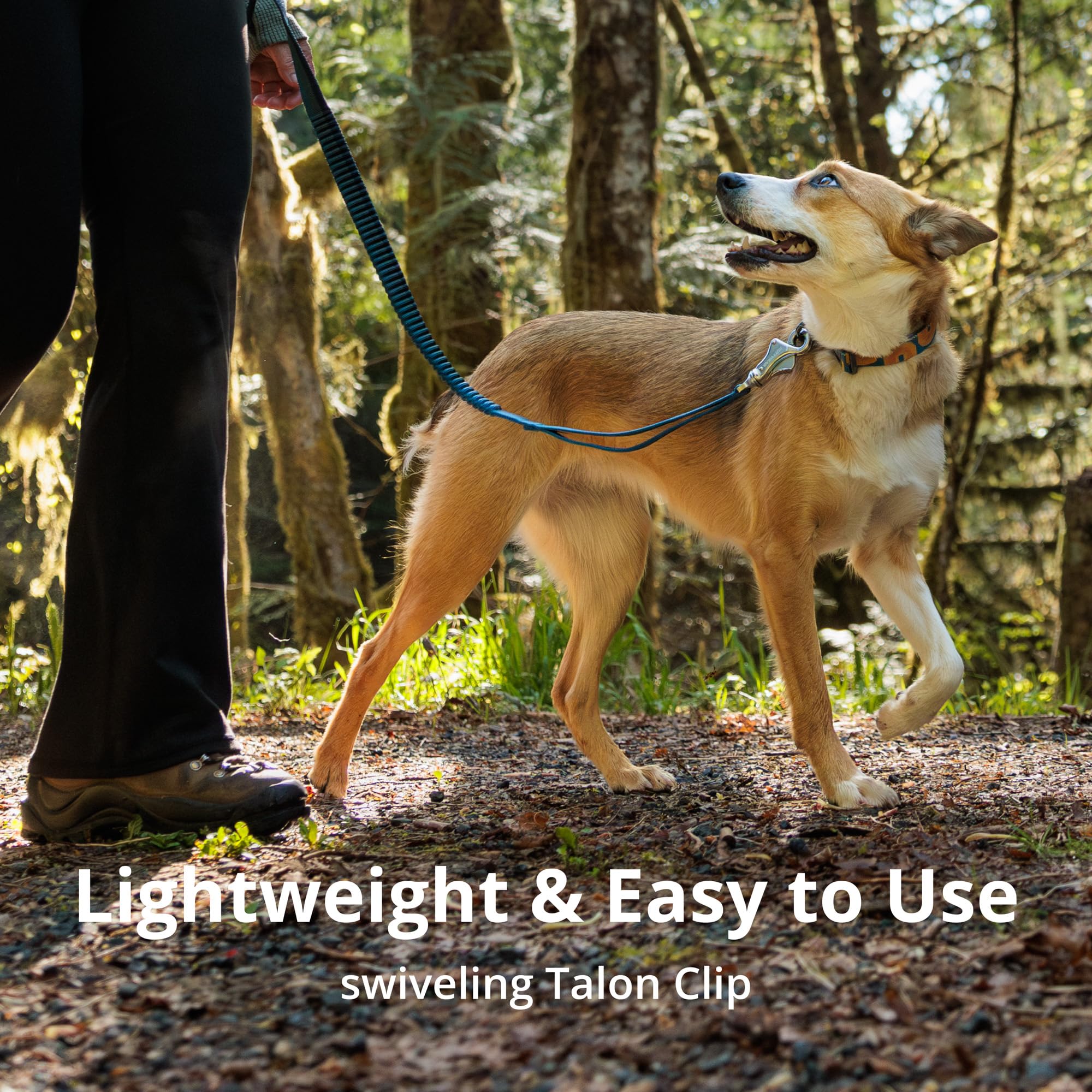 Ruffwear Roamer Bungee Leash adjustable padded handle for comfortable long hikes