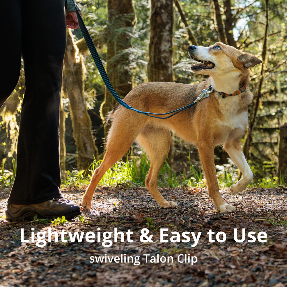 Ruffwear Roamer Bungee Leash adjustable padded handle for comfortable long hikes