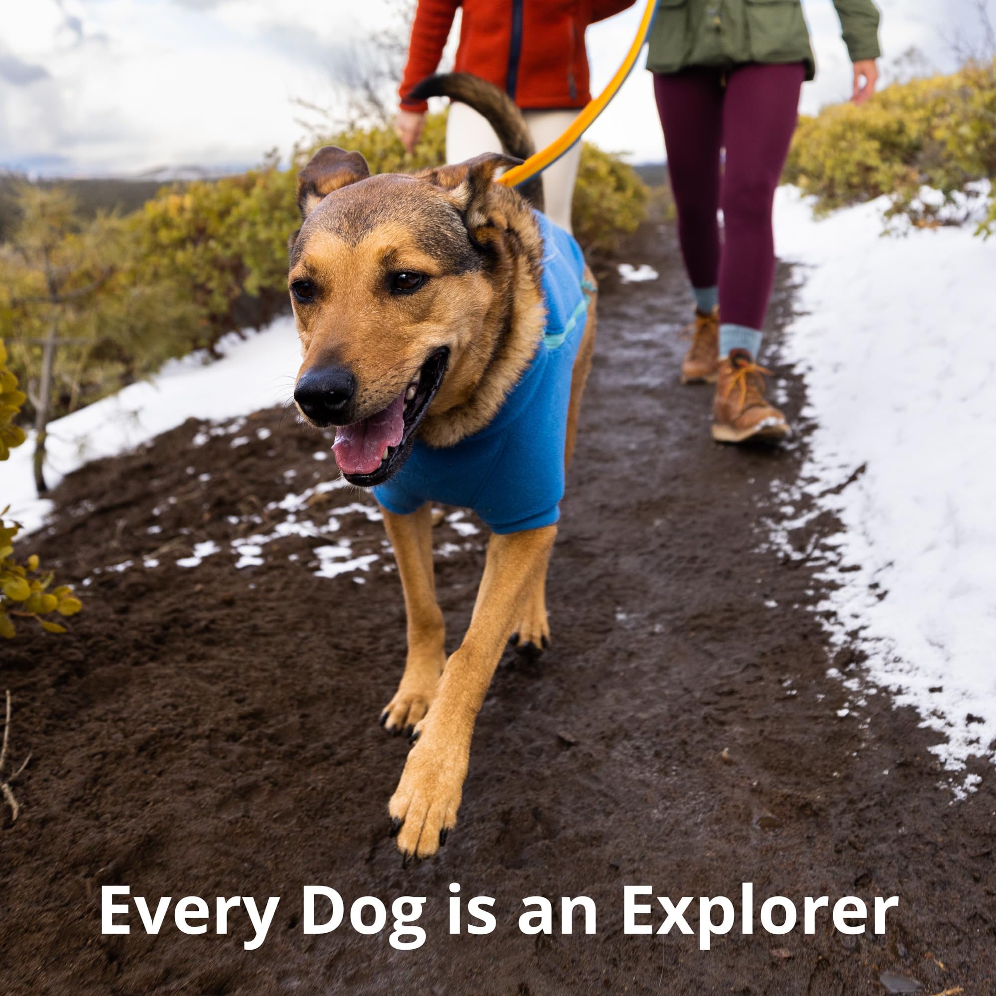Ruffwear Roamer Bungee Leash uses high-performance fabrics for athletic fit and durability.