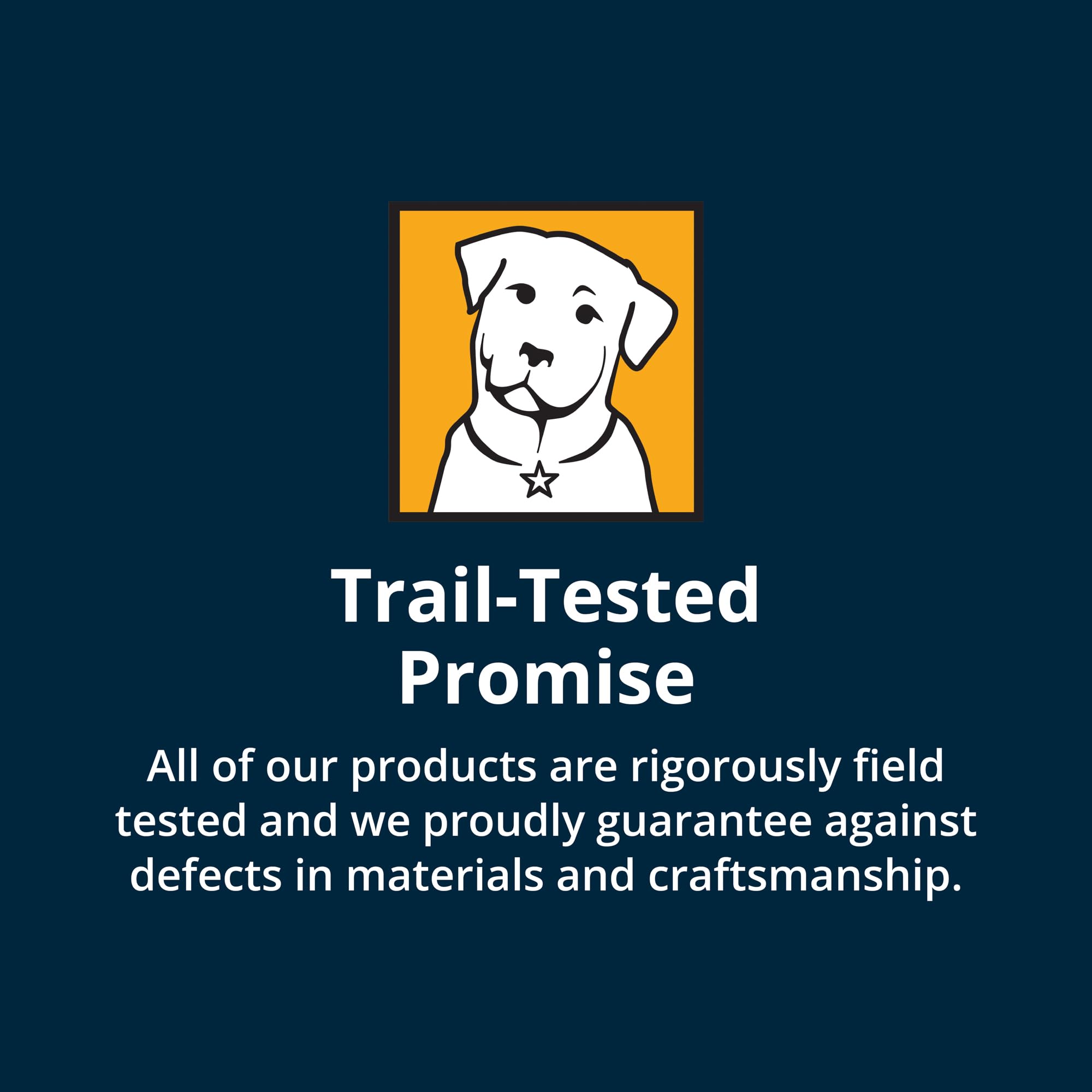 Ruffwear Roamer Bungee Leash high-performance design with technical fabrics