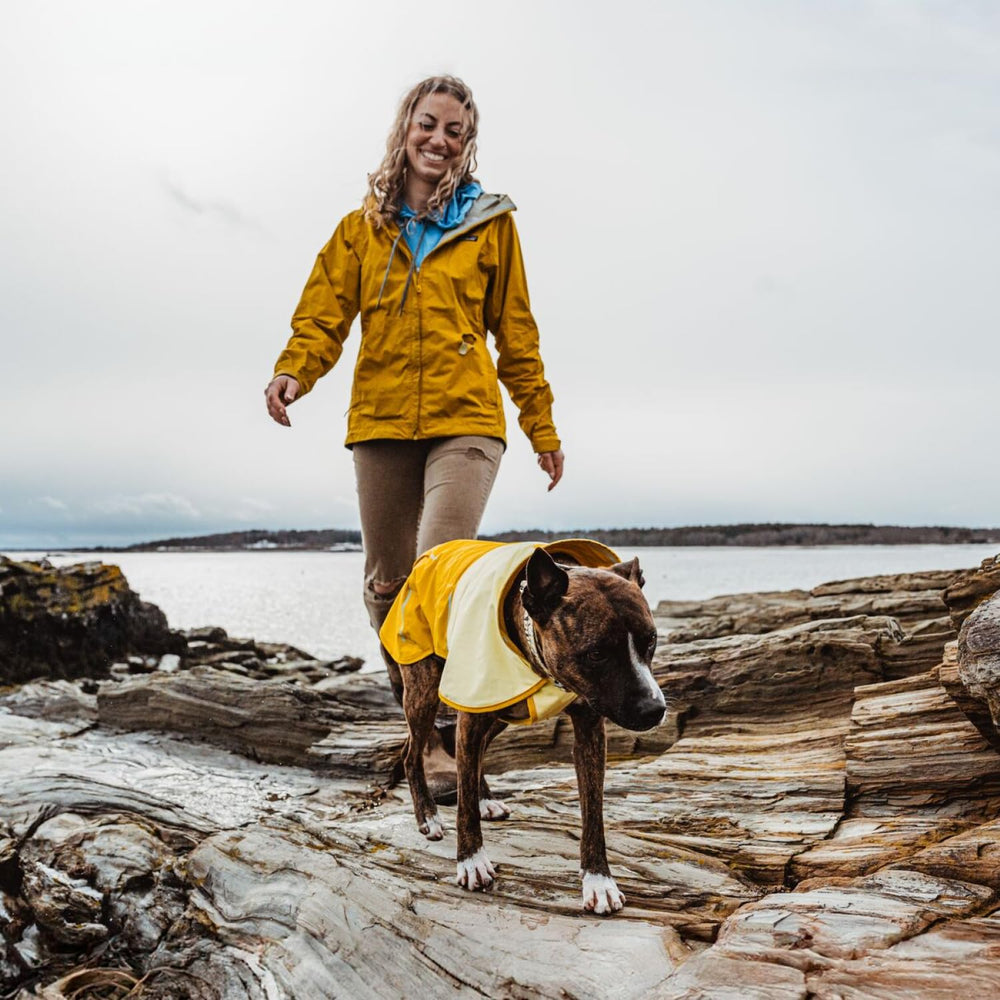 Ruffwear Sun Shower raincoat extended storm collar for extra neck protection.