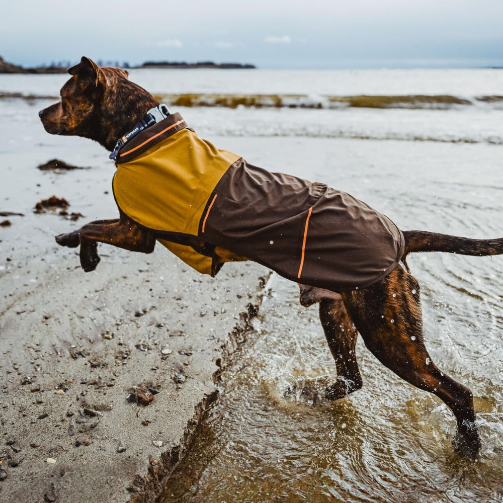 Ruffwear Sun Shower raincoat hip coverage and longer vest improve shielding.