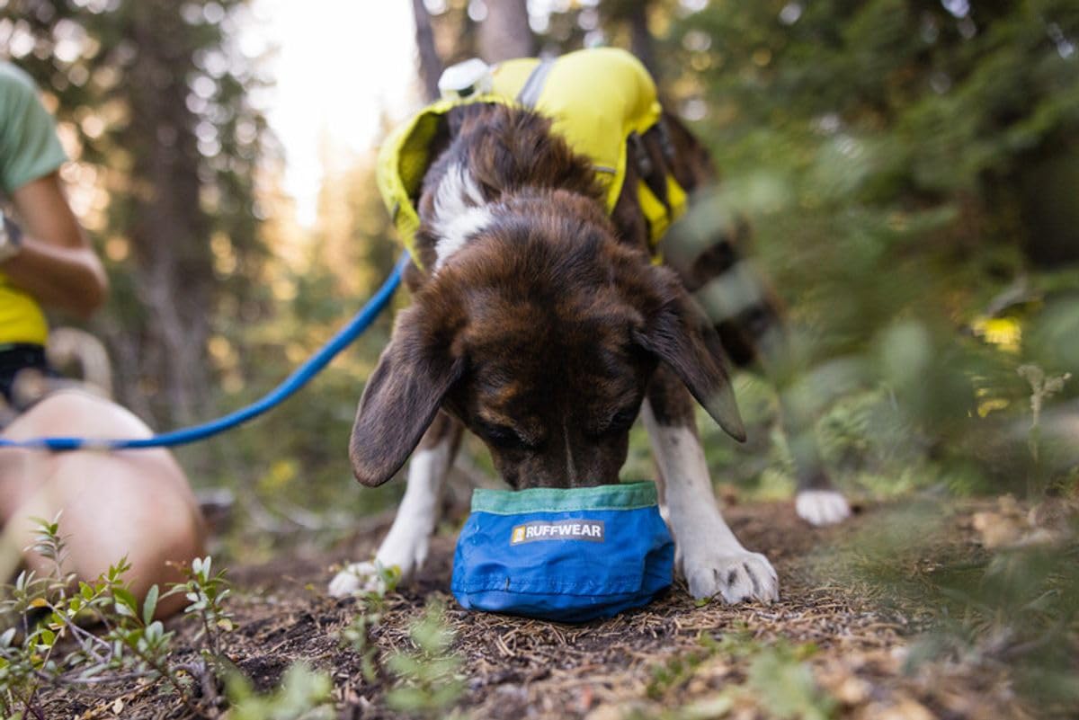 Ruffwear Trail Runner Bowl sealed seams prevent drips during rugged use.