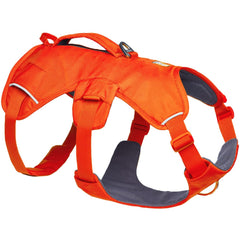 Ruffwear Web Master harness back V-ring for versatile control during hikes