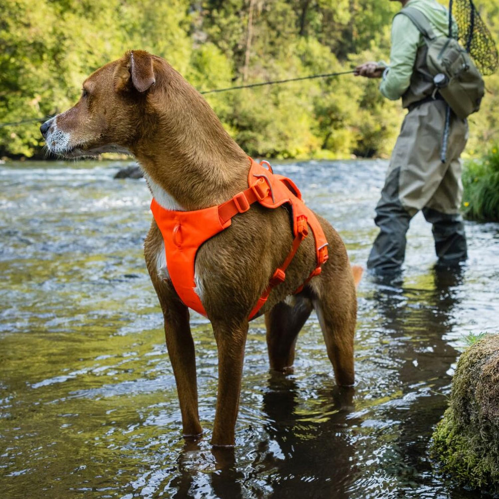 Durable trail tested materials with reflective trim for visibility at night.