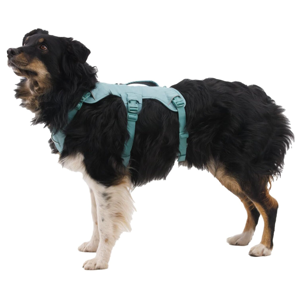 Ruffwear Web Master full-body support distributes weight for stable lifting