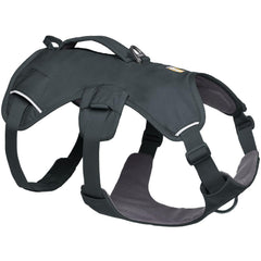 Ruffwear Web Master harness with reinforced lift handle for mobility assistance.