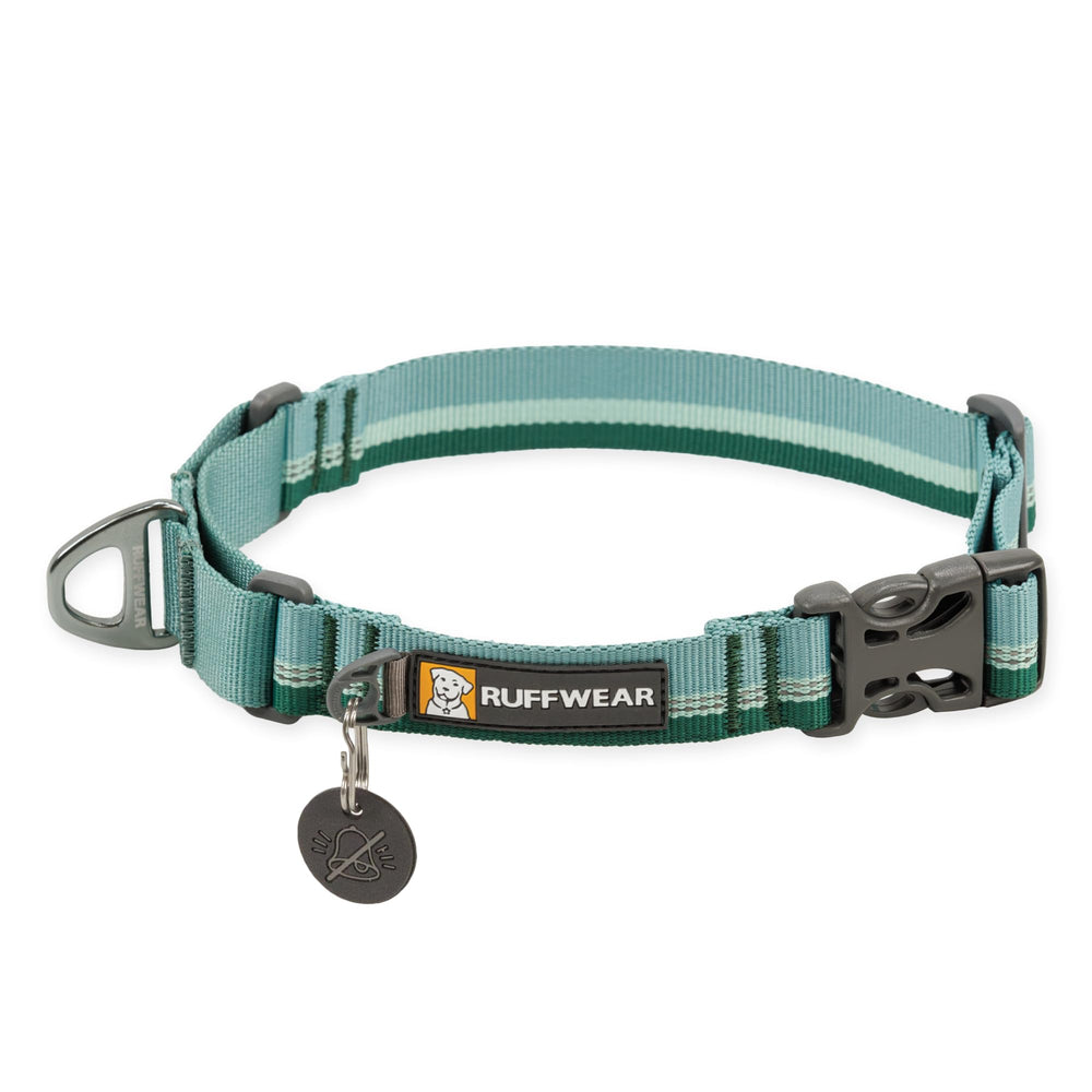 Ruffwear Web Reaction collar with escape-proof buckle for secure play.