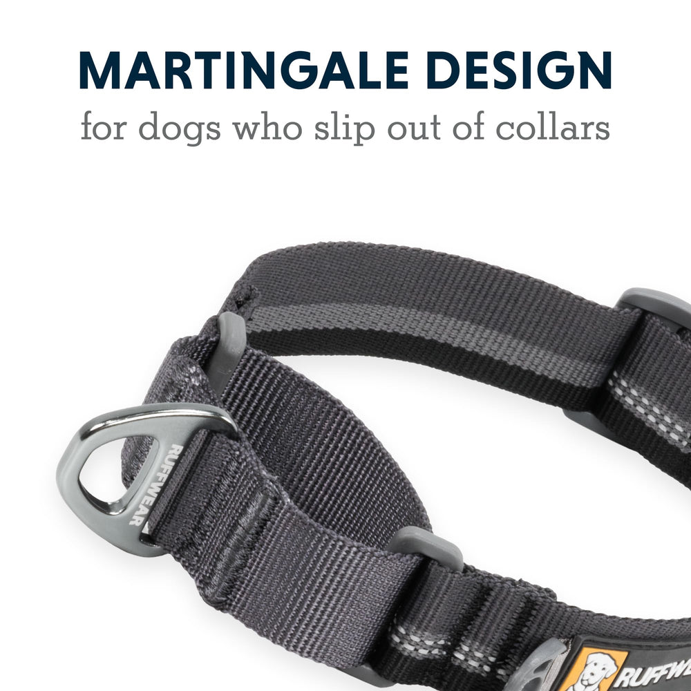 Ruffwear Web Reaction collar features micro-adjustable fit for growing dogs.