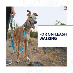 Ruffwear Web Reaction collar uses Tubelok webbing for durable daily wear.