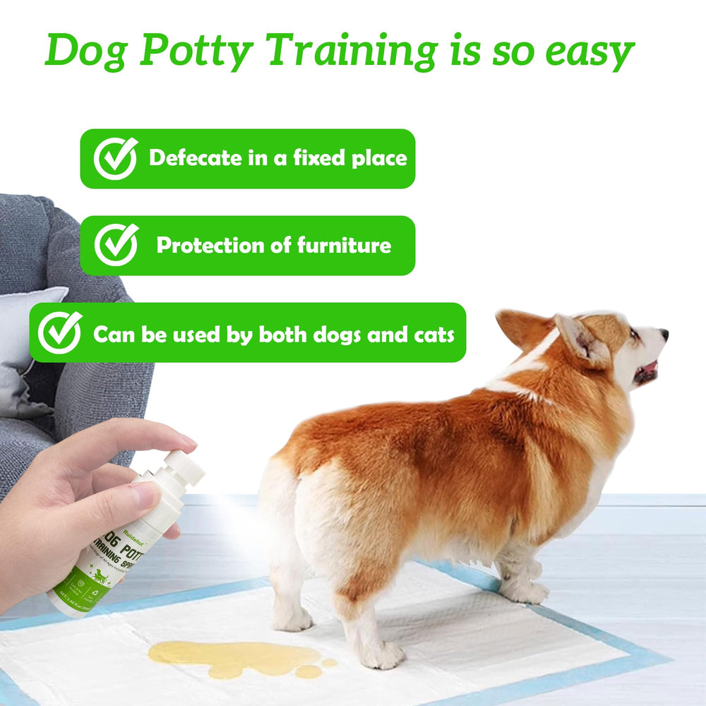 Ruidehut Dog Potty Spray bottle for convenient on-the-go training.