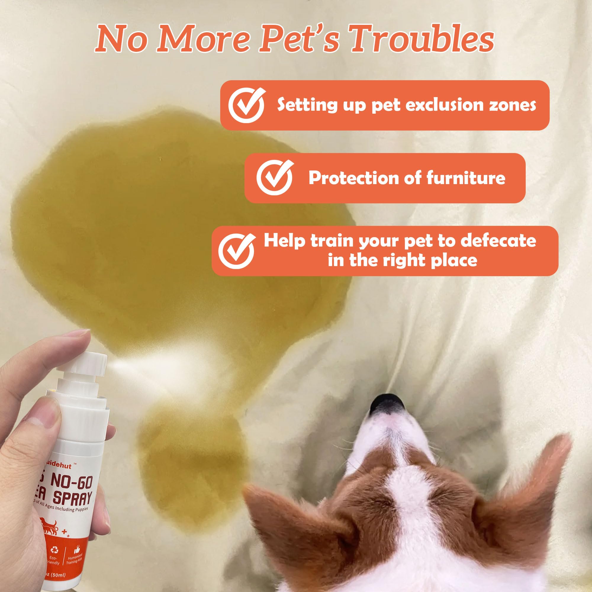 Ruidehut potty training spray demonstrates designating approved potty spots