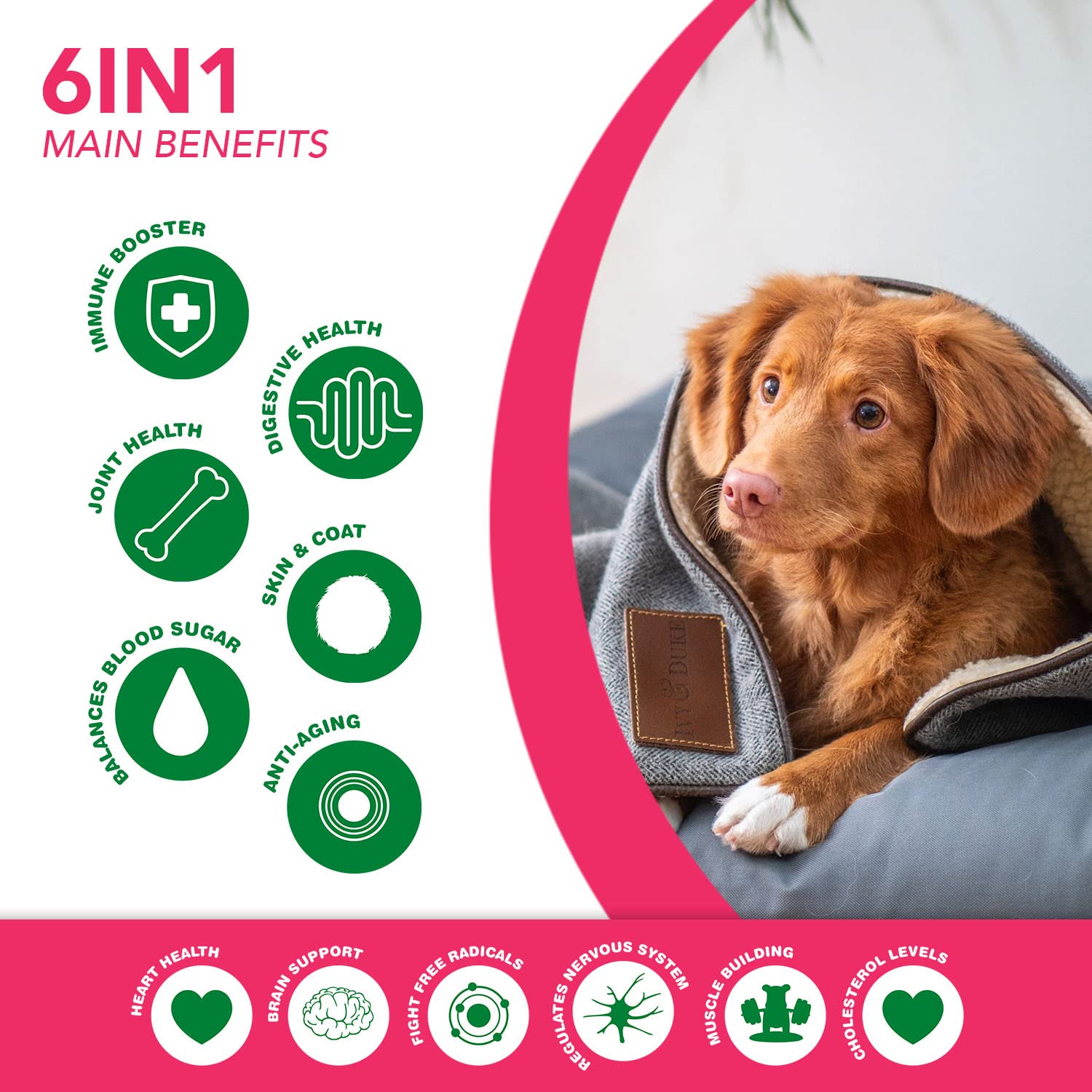 Ruji Naturals omega-3-6 components depicted for healthy coat