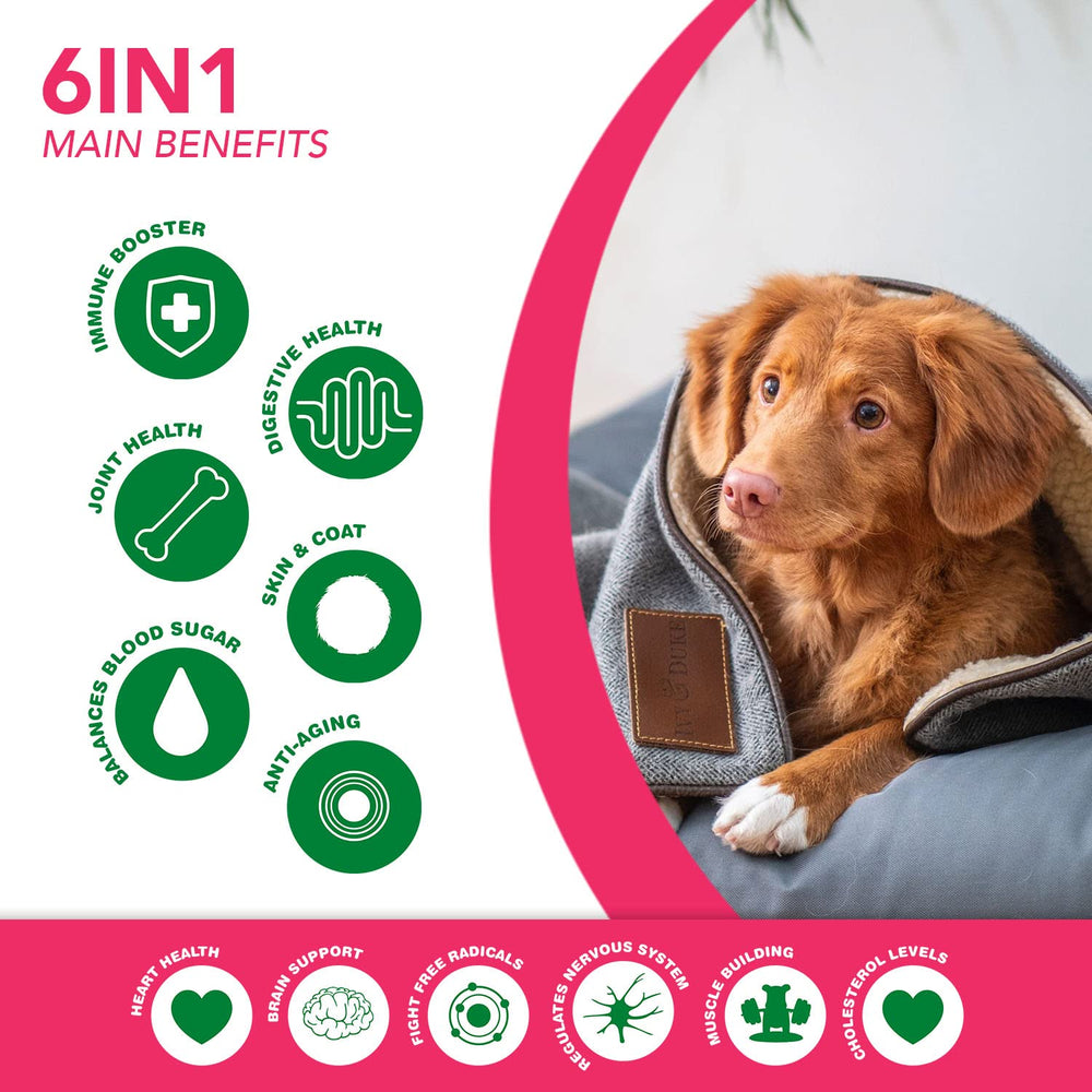 Ruji Naturals omega-3-6 components depicted for healthy coat